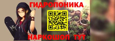 ешки Можга